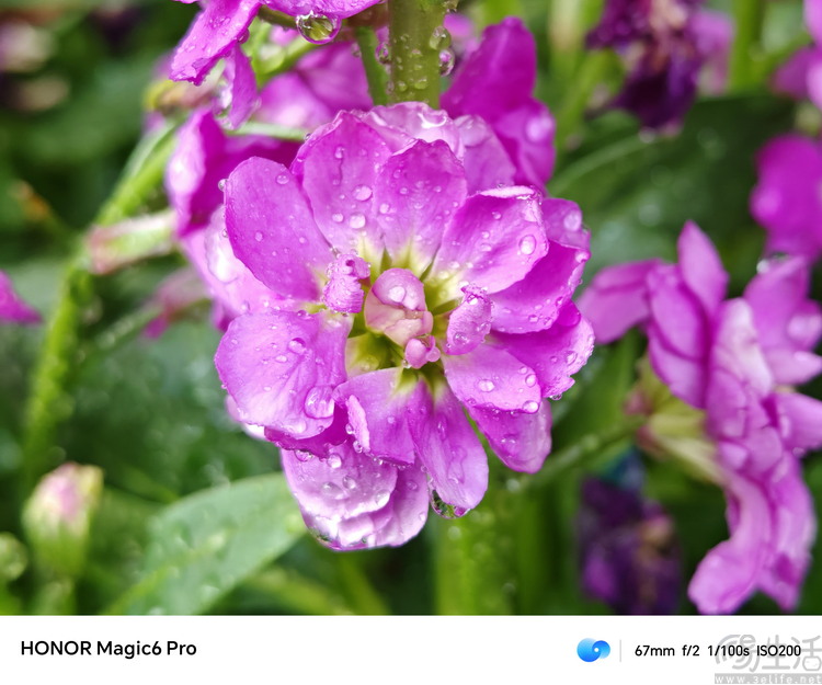 image047.jpg