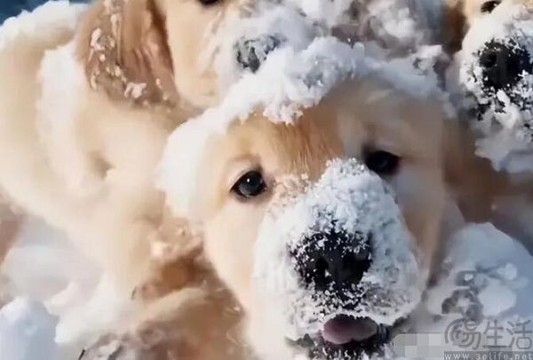 元宇宙概念明年东山再起,Sora功不可没 元宇宙概念明年东山再起,Sora功不可没