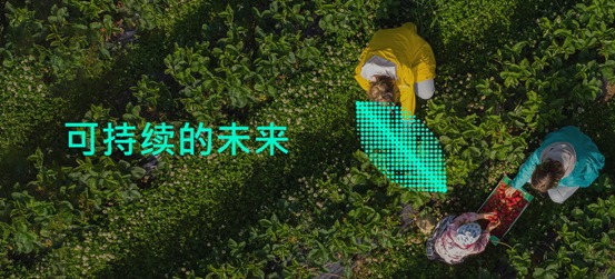 新王加冕！华硕三款显示器荣获2024德国IF国际设计大奖！