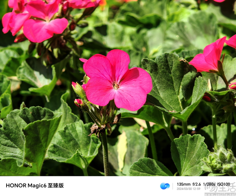 荣耀Magic6至臻版评测：外观更极致，影像更专业