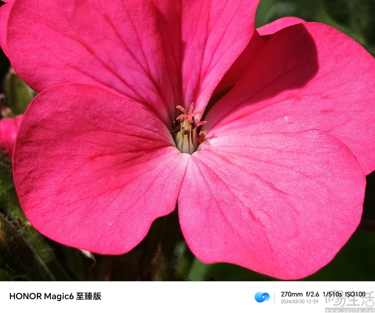 荣耀Magic6至臻版评测：外观更极致，影像更专业