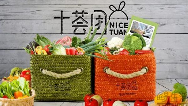 菜鸟告赢了多多买菜，社区团购再次刺刀见红