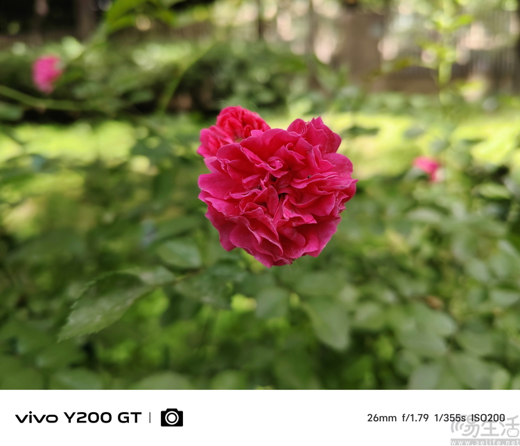 vivo Y200/Y200GT双机评测：价格足够低、可玩性越级