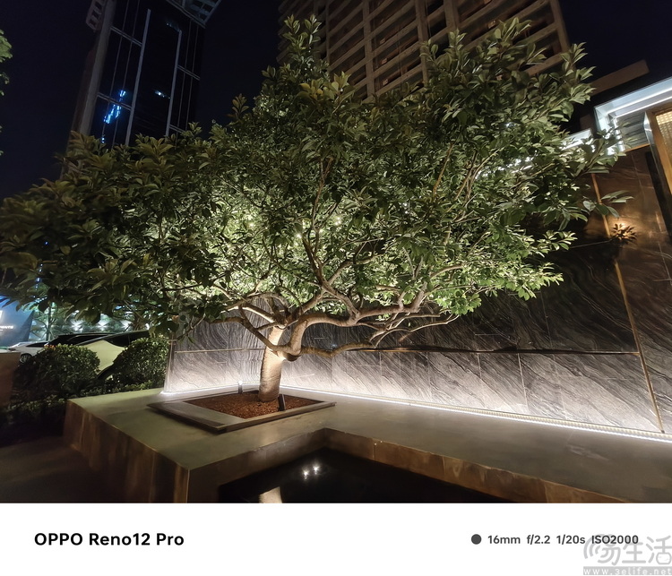 OPPO Reno 12 Pro评测：以AI驱动、造时尚爆款