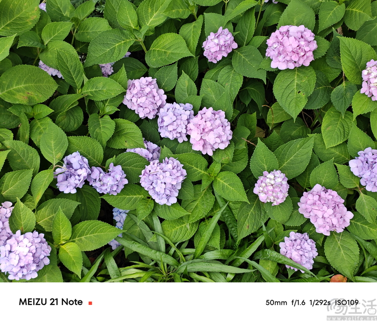 魅族21 Note评测：不只高性能，更是AI娱乐终端