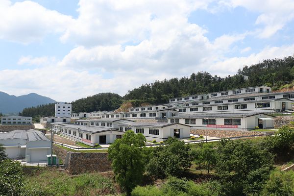 四年坚持，盒马将来自大别山深处的羊肉卖向全国