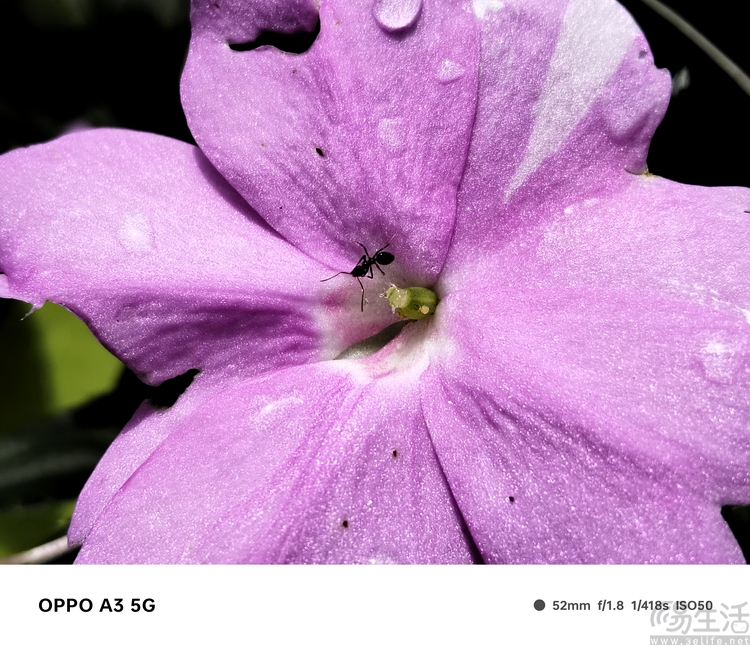 OPPO A3评测：超实用手机怎么造？它可能是正解