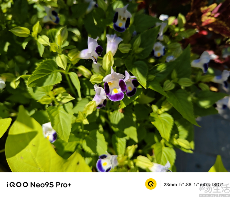 iQOO Neo9S Pro+评测：换芯升级，体验全面超预期