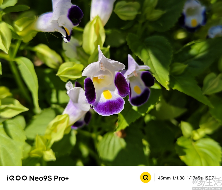 iQOO Neo9S Pro+评测：换芯升级，体验全面超预期