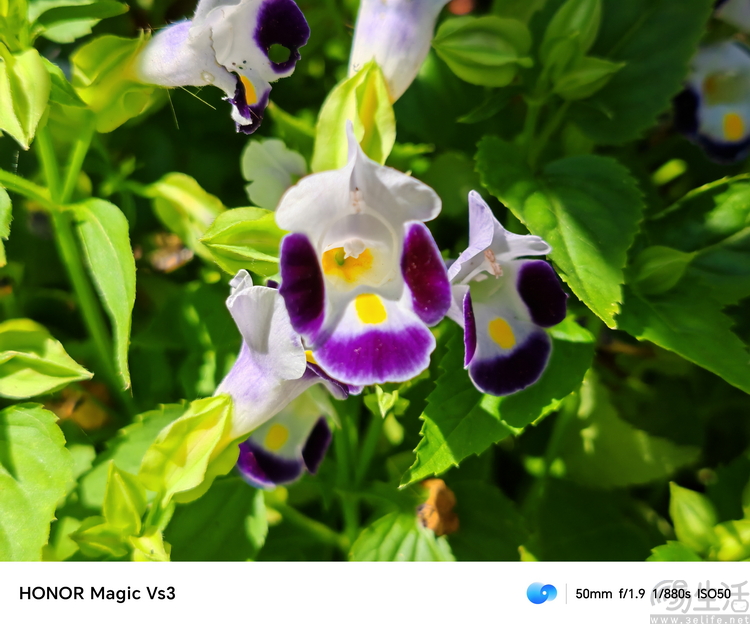 荣耀Magic Vs3评测：不止轻薄，重塑折叠次旗舰