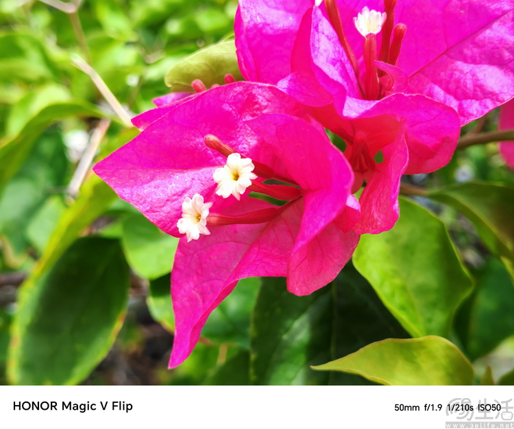 荣耀Magic V Flip评测：美型小折叠，目标很明确