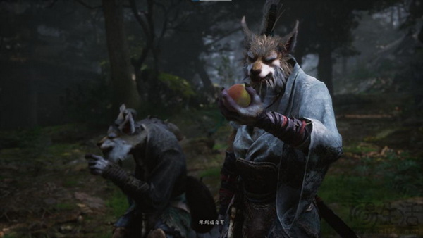 《黑神话：悟空》！耕升 RTX 40系显卡+DLSS 3纵享丝滑体验