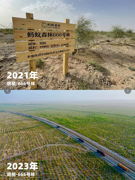 蚂蚁森林种树5.48亿，蚂蚁集团协议捐资超40亿