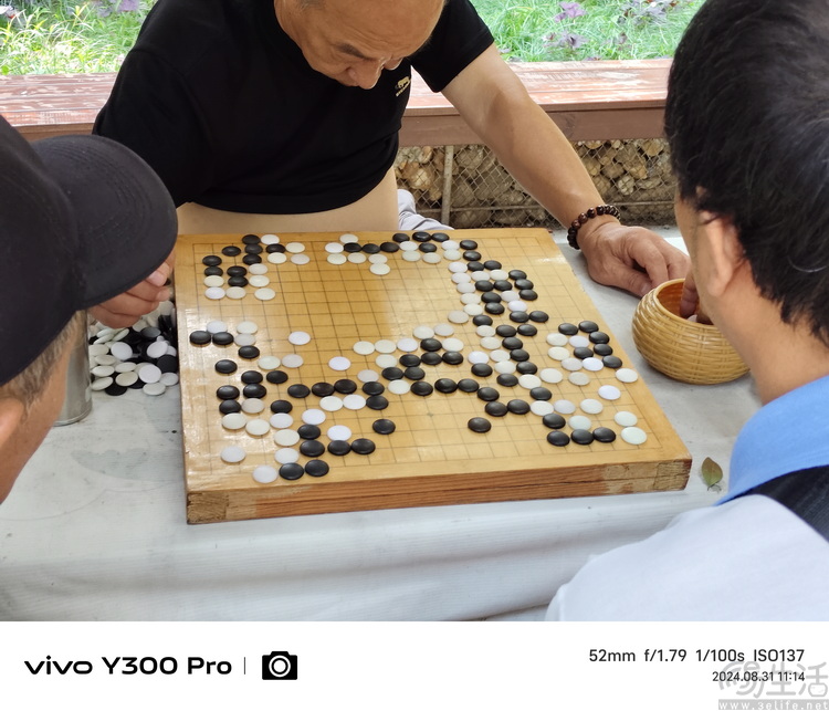 vivo Y300 Pro评测：旗舰特性加持，“国民手机”迎来升华