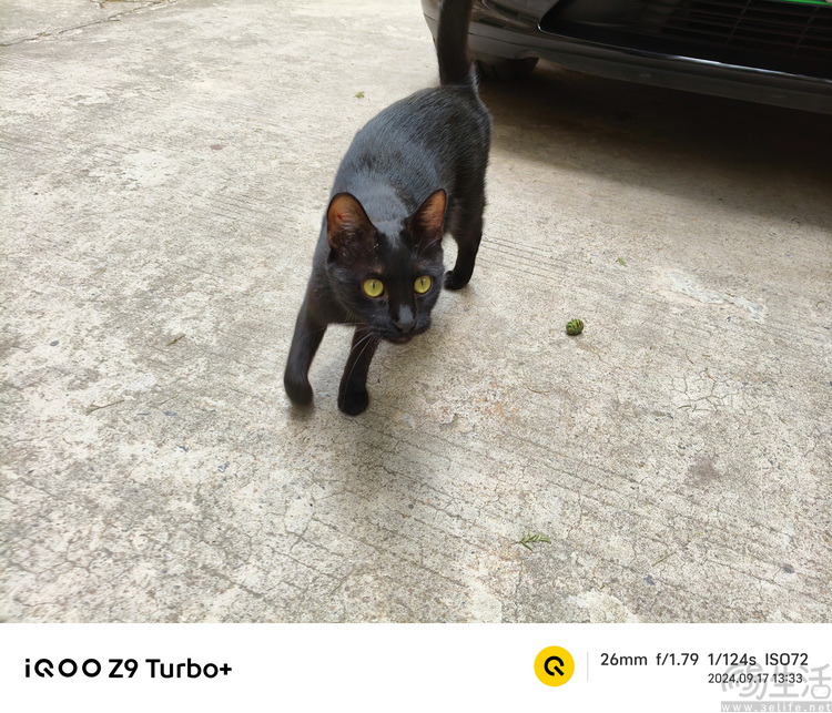iQOO Z9 Turbo+评测：顶级SoC加持，亲民性能神机
