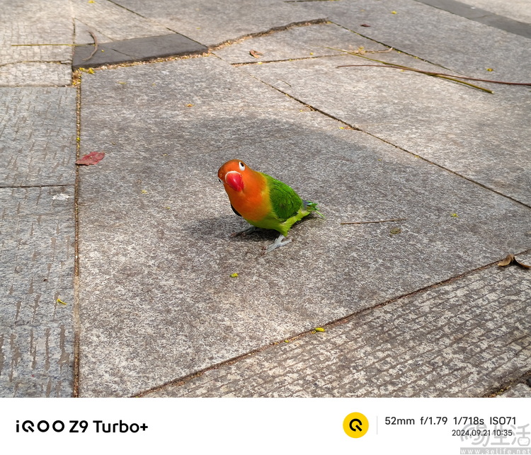 iQOO Z9 Turbo+评测：顶级SoC加持，亲民性能神机