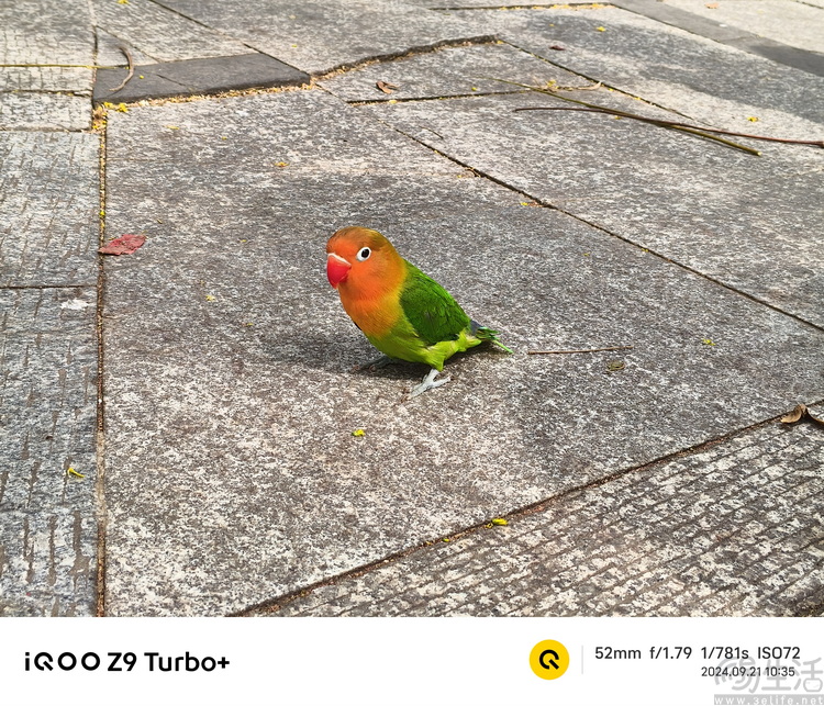 iQOO Z9 Turbo+评测：顶级SoC加持，亲民性能神机