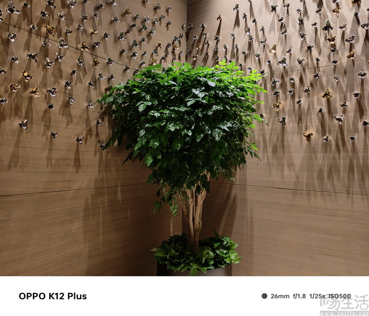 OPPO K12 Plus评测：更耐久、更务实的中端新选择