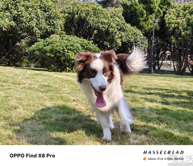 OPPO Find X8 Pro首发评测： 轻薄抓拍神器，人像氛围大师