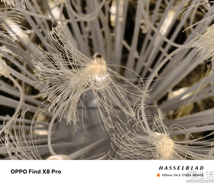OPPO Find X8 Pro首发评测： 轻薄抓拍神器，人像氛围大师