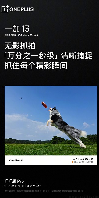 一加13屏幕信息揭晓，全新支持超清实况照片功能