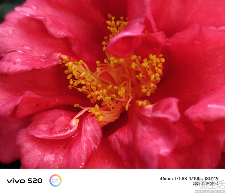 vivo S20首测：是轻薄小直屏、更是冬日玩乐好“搭子”