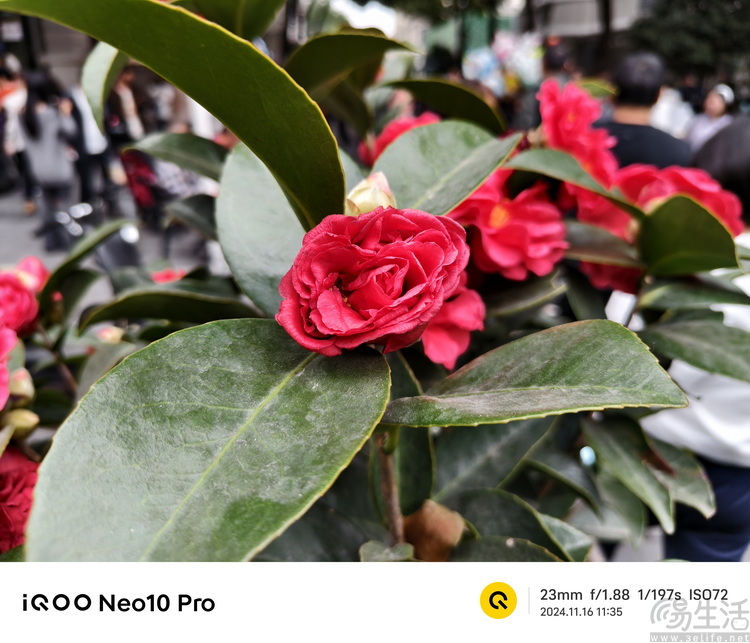 iQOO Neo10 Pro首发评测：纯粹性能享受，好玩的旗舰之选