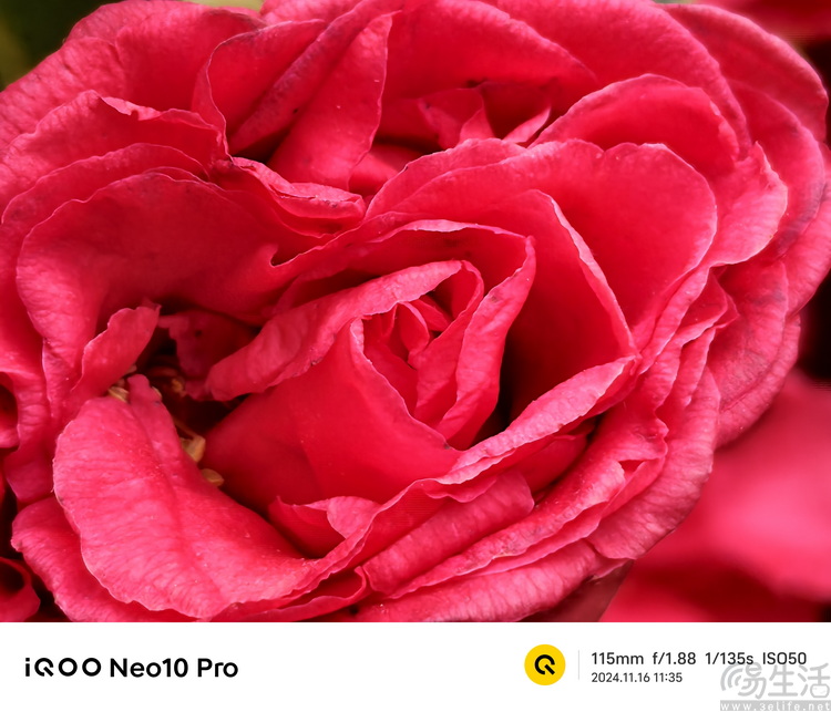 iQOO Neo10 Pro首发评测：纯粹性能享受，好玩的旗舰之选