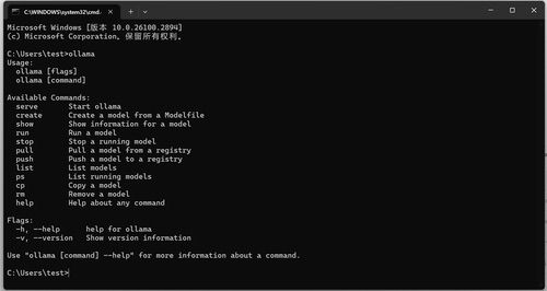 DeepSeek服务器繁忙过头？教你如何本地部署
