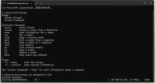 DeepSeek服务器繁忙过头？教你如何本地部署