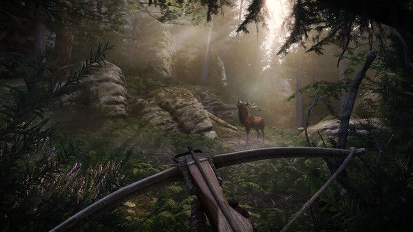 《天国：拯救2》刺激冒险！耕升RTX 5080追风战火直冲
