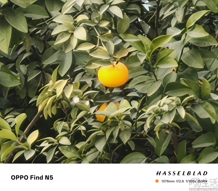 OPPO Find N5首发评测：最薄大折叠的代价，是什么