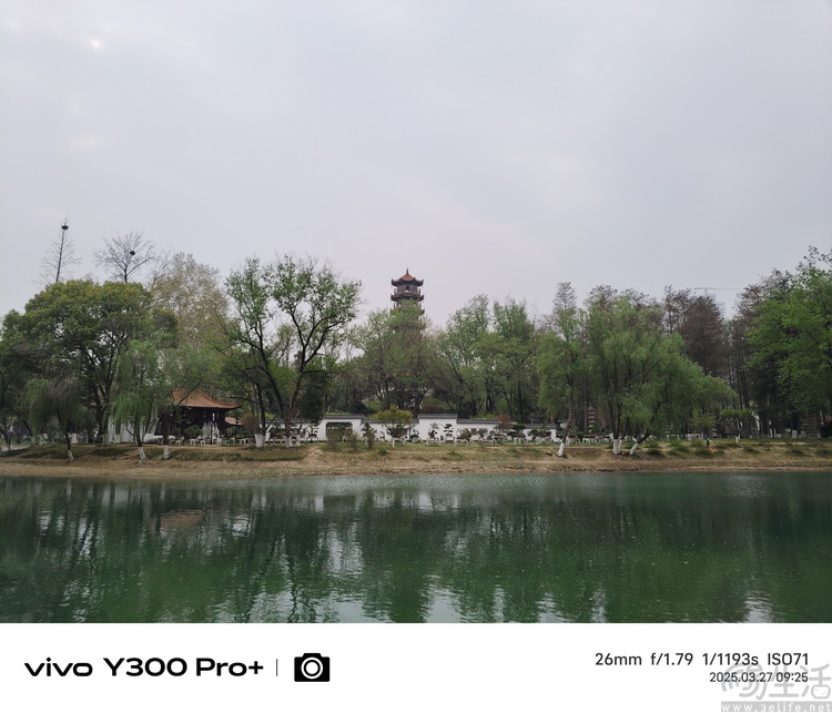 vivo Y300 Pro+评测：超大电池，国民手机新选择