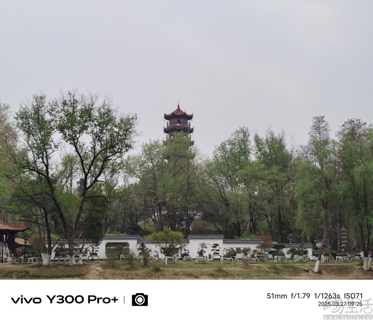 vivo Y300 Pro+评测：超大电池，国民手机新选择