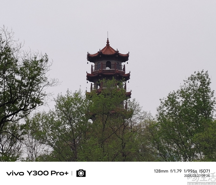 vivo Y300 Pro+评测：超大电池，国民手机新选择