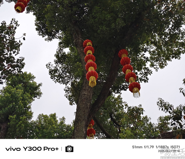 vivo Y300 Pro+评测：超大电池，国民手机新选择