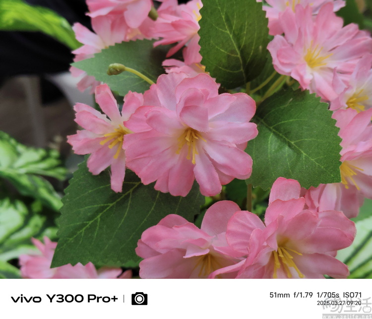 vivo Y300 Pro+评测：超大电池，国民手机新选择