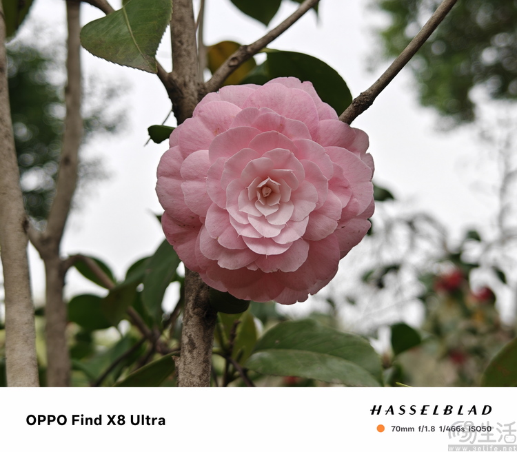 OPPO Find X8 Ultra评测：更有想法的影像超大杯