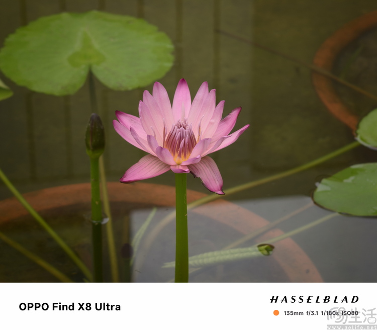 OPPO Find X8 Ultra评测：更有想法的影像超大杯