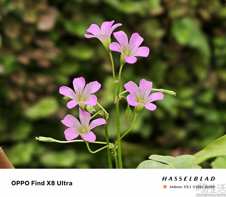 OPPO Find X8 Ultra评测：更有想法的影像超大杯