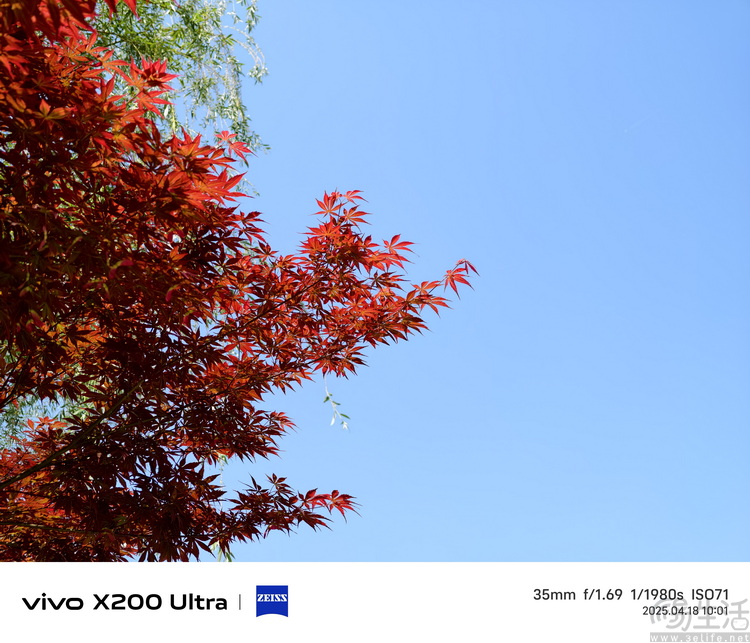 vivo X200 Ultra专项测试：全大底“V单”，颠覆行业常识
