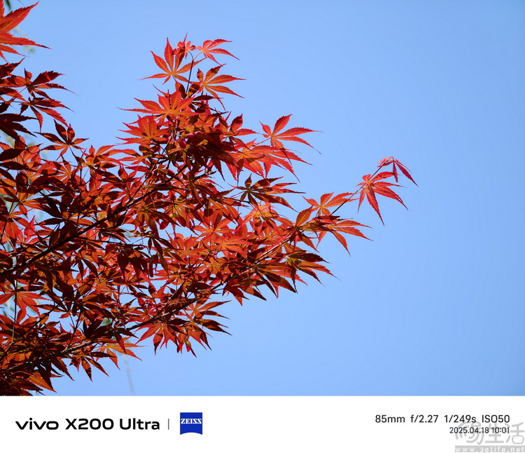 vivo X200 Ultra专项测试：全大底“V单”，颠覆行业常识