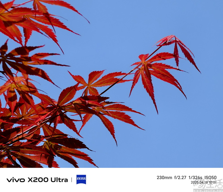 vivo X200 Ultra专项测试：全大底“V单”，颠覆行业常识