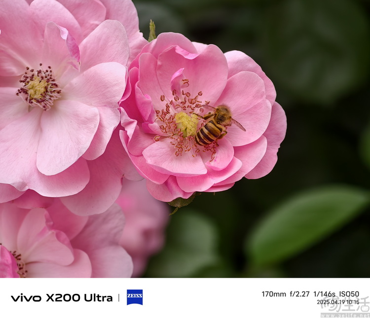 vivo X200 Ultra专项测试：全大底“V单”，颠覆行业常识