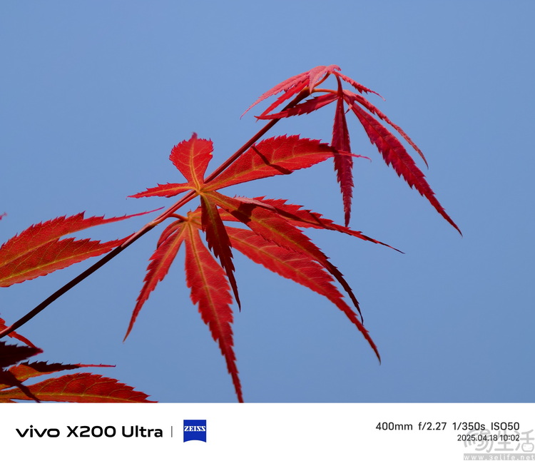 vivo X200 Ultra专项测试：全大底“V单”，颠覆行业常识
