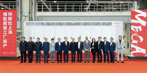 特斯拉2025年一季度财报亮眼，多业务协同发展势头强劲