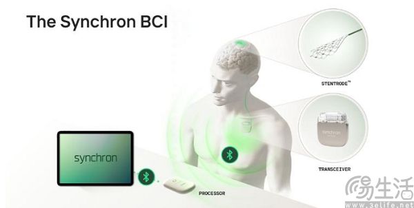 用意念操控Vision Pro，苹果也盯上了脑机接口技术