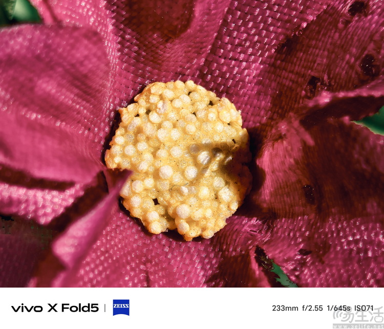 vivo X Fold 5评测：更薄、更亲民，但确实更强了