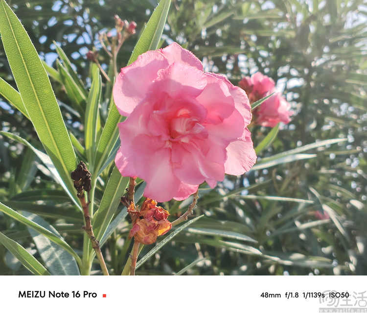 魅族Note16系列实测：外观豪华的全民手机