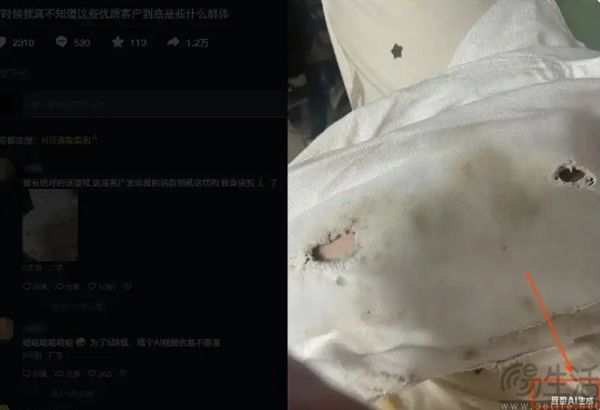 赋能万物真不是说说，羊毛党都开始用AI骗商家仅退款了